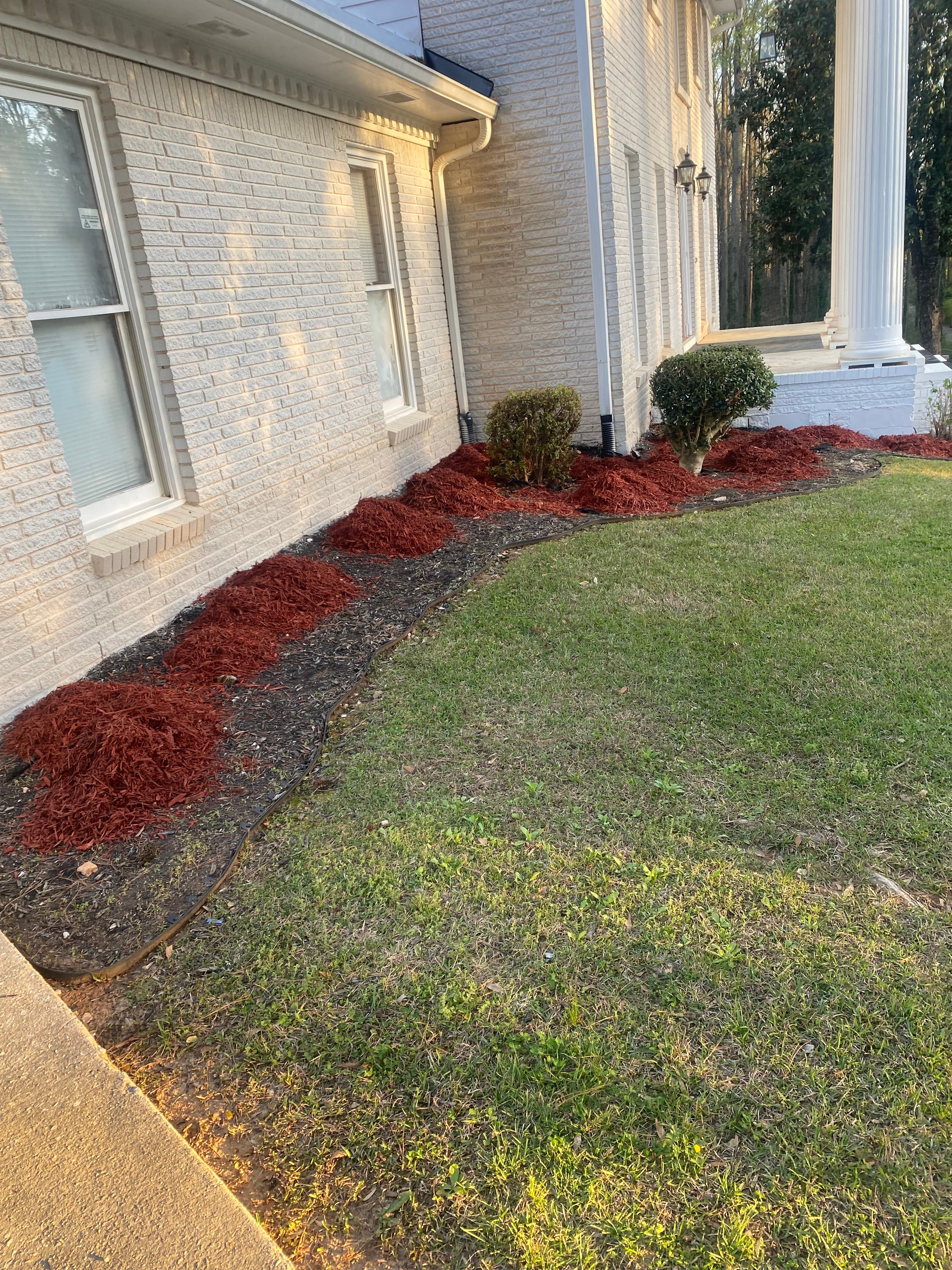 Property Landscaping Overhaul — before